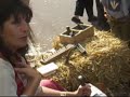 Fête du 700 Belfort Médiéval