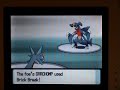 Pokemon Diamond Champion Blaziken Lv 100