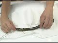 Rigging an Eel
