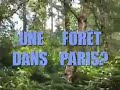 les cauchemars de delanoë