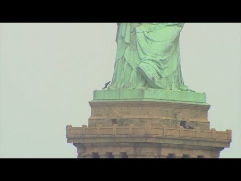 New York: Freiheitsstatue nach Protestaktion gerum ...