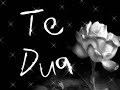 albanische muzik,dashni me brina, marigona, explosiver,traurig, lied, song, cool, hammer
