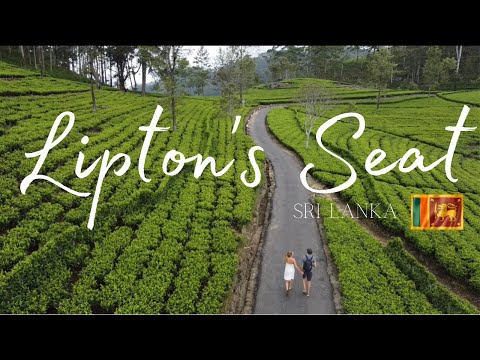 Lipton’s Seat | Sri Lanka (Haputale) 🇱🇰