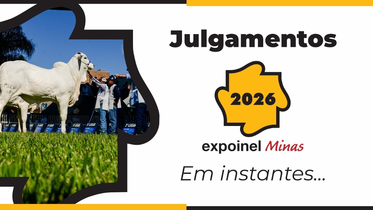 EXPOINEL MINAS 2026 - JULGAMENTOS (QUARTA-FEIRA)