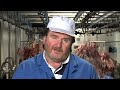 Kött - så skär du det