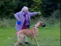 Vovó arrastada por um cachorro