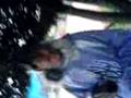 Z.L Zona Leste