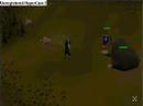 [RS] noble aloof and pastrie9 mole killing