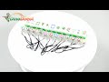 Innovated Mahjong Style Cell Phone Strap Charm 12 Pcs - dinodirect