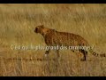 n�hled 3