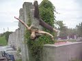 irma Stunt Reel