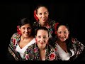 flamenco