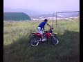 Facco nel prato Facco nel prato