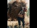 I Understand-Smokey Norkful