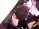 videos de gomeando al chato