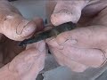 Flintknapping - Cores & Blades Pressure Flaking - Part 8