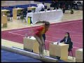 Cheng Fei Cheng Fei