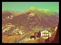 Sauze 1982