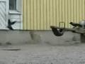 Hare vs Crow