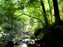 A Day on Little Mud Creek in Snead, Alabama