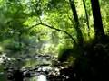 A Day on Little Mud Creek in Snead, Alabama