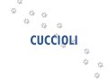 cucciolo sorpreso!.wmv