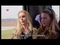 Handyhoeve Illegale puppy fokker deel2 Handyhoeve Illegale puppy fokker deel2
