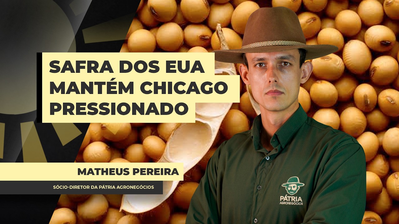 Nova safra dos EUA mantém bom desenvolvimento e soja segue pressionada em Chicago; atenção aos...