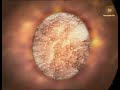 [5] Ciencia al desnudo - El núcleo terrestre