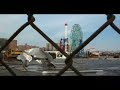 The Destruction Of Coney Island 