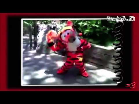 КОТЭКОБРА - RWJ по версии Кураж-Бамбей