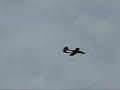 Formost 150Jet Behotec