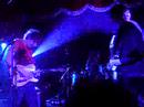 Bark Haze at ATP 2