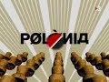 la declaración de la renta ~ polònia