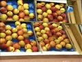 XCTV: Catalunya Notícies XCTV: Catalunya Notícies