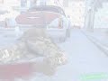 V�deo  Lynch - 11 - Freedom Fighters [2/2]