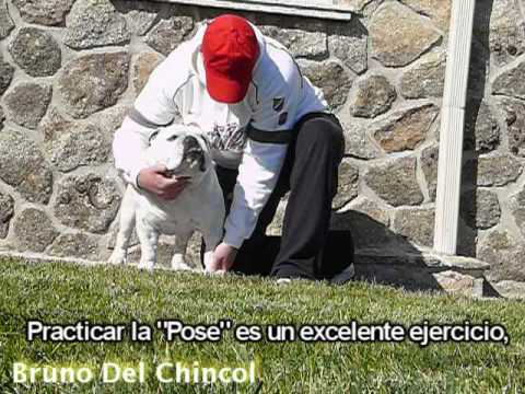 Imagen de previsualización de YouTube