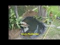 Kiko & JB garden diseñan y construyen estanques naturales, ecológicos y sostenibles exentos de recipientes prefabricados. Asesorando en los diferentes estilos de creación en exclusividad, personalizándolos y conjugando con el entorno de cada tipo de jardín, eligiendo la zona más propicia para su implantación. Contando con técnicos y profesionales en botánica y medioambiente, teniendo un ámbito de actuación de Sevilla (España) y su área metropolitana. Para más información pueden contactar y consultar en estanquesnaturales@gmail.com