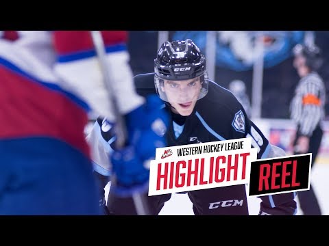 2018-19 HIGHLIGHT REEL | Peyton Krebs