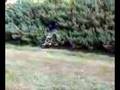 Jump in the bush PART TWO !