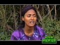 Ethiopian Music Guragigna Ethiopian Music Guragigna