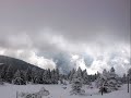 bursa