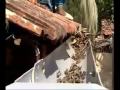 Roof top Rainwater Harvesting - Part 2