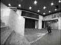 bryan herman this is skateboarding