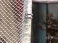 Installing Gutter Guards-DIY