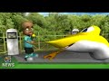 animación 3d educativa