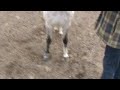 20091122144141