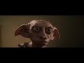 Harry Potter e la tazza del folletto - Vicio & Fabio