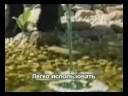 Пруд - корм для прудовых рыб и препараты.