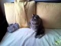 100423_195542.mp4